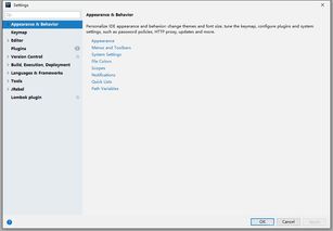 Lombok插件 简化Java应用软件开发的利器
