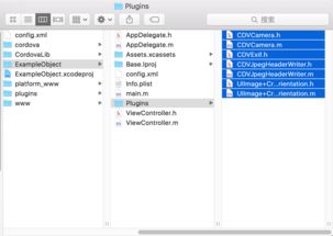 Cordova在iOS开发中的应用 相机插件与软件开发实践